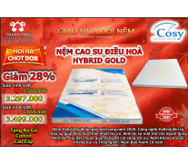 Nệm Foam Điều Hoà Thế Hệ Mới Hybrid Gold