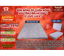 Nệm bông ép chần bông nguyên tấm và gấp 2 S'LOVE LUCKY
