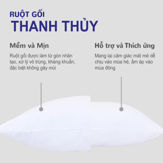 Ruột Gối Nằm Thanh Thuỷ