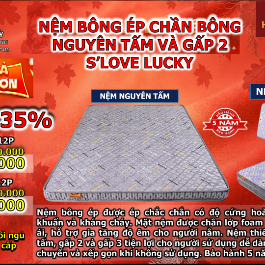 Nệm bông ép chần bông nguyên tấm và gấp 2 S'LOVE LUCKY