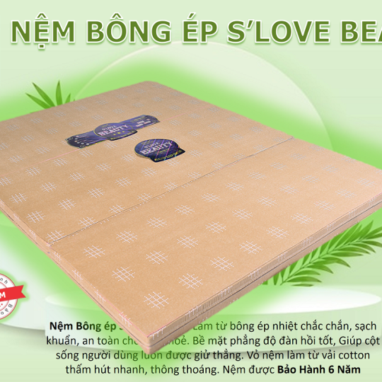 Nệm Bông Ép S'Love Beauty